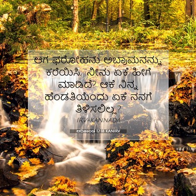 Picture 07 - ಆದಿಕಾಂಡ 12:18 KANIRV - ಆಗ ಫರೋಹನು - Bible Verse Picture