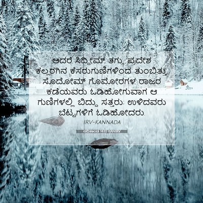 Picture 07 - ಆದಿಕಾಂಡ 14:10 KANIRV - ಆದರೆ ಸಿದ್ದೀಮ್ - Bible Verse Picture