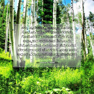Picture 07 - ಆದಿಕಾಂಡ 14:2 KANIRV - ತಗ್ಗು ಪ್ರದೇಶದಲ್ಲಿ - Bible Verse Picture