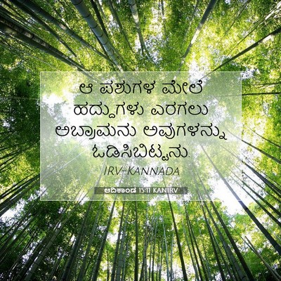 Picture 07 - ಆದಿಕಾಂಡ 15:11 KANIRV - ಆ ಪಶುಗಳ ಮೇಲೆ - Bible Verse Picture