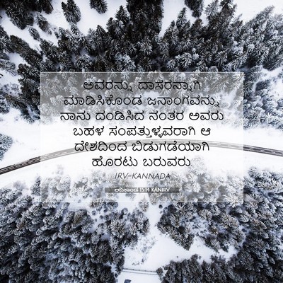 Picture 07 - ಆದಿಕಾಂಡ 15:14 KANIRV - ಅವರನ್ನು - Bible Verse Picture