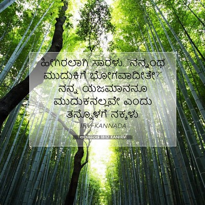 Picture 07 - ಆದಿಕಾಂಡ 18:12 KANIRV - ಹೀಗಿರಲಾಗಿ ಸಾರಳು, - Bible Verse Picture