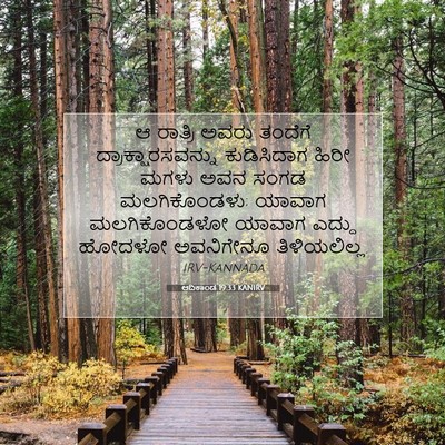Picture 07 - ಆದಿಕಾಂಡ 19:33 KANIRV - ಆ ರಾತ್ರಿ ಅವರು - Bible Verse Picture