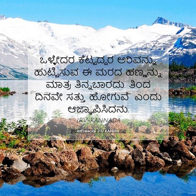 Picture 07 - ಆದಿಕಾಂಡ 2:17 KANIRV - ಒಳ್ಳೇದರ ಕೆಟ್ಟದ್ದರ - Bible Verse Picture