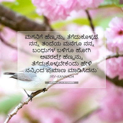 Picture 07 - ಆದಿಕಾಂಡ 24:38 KANIRV - ಮಗನಿಗೆ ಹೆಣ್ಣನ್ನು - Bible Verse Picture