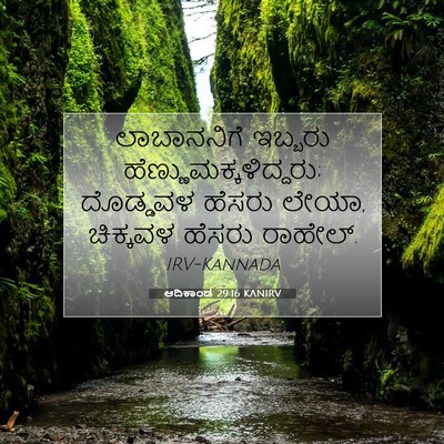 Picture 07 - ಆದಿಕಾಂಡ 29:16 KANIRV - ಲಾಬಾನನಿಗೆ ಇಬ್ಬರು - Bible Verse Picture