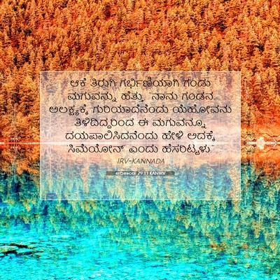 Picture 07 - ಆದಿಕಾಂಡ 29:33 KANIRV - ಆಕೆ ತಿರುಗಿ - Bible Verse Picture