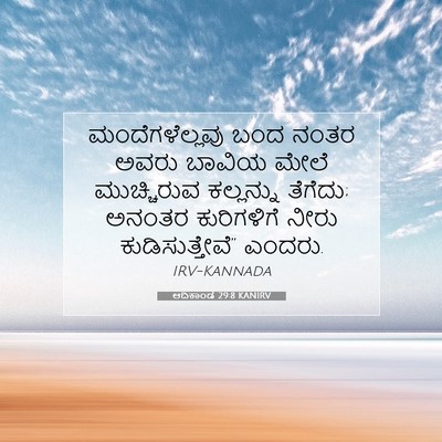 Picture 07 - ಆದಿಕಾಂಡ 29:8 KANIRV - ಮಂದೆಗಳೆಲ್ಲವು ಬಂದ - Bible Verse Picture