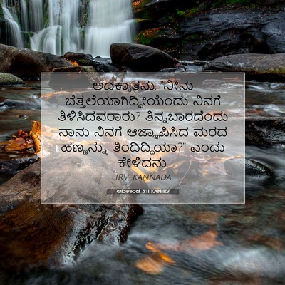 Picture 07 - ಆದಿಕಾಂಡ 3:11 KANIRV - ಅದಕ್ಕಾತನು, “ನೀನು - Bible Verse Picture