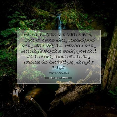 Picture 07 - ಆದಿಕಾಂಡ 3:14 KANIRV - ಆಗ ಯೆಹೋವನಾದ ದೇವರು - Bible Verse Picture