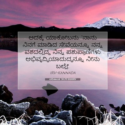 Picture 07 - ಆದಿಕಾಂಡ 30:29 KANIRV - ಅದಕ್ಕೆ ಯಾಕೋಬನು, - Bible Verse Picture
