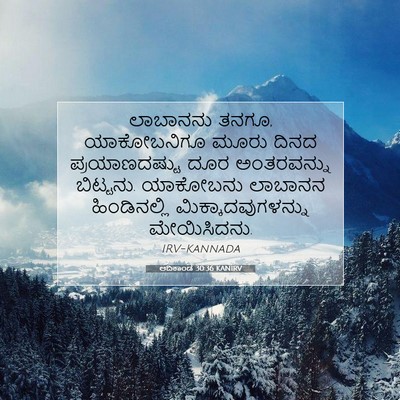 Picture 07 - ಆದಿಕಾಂಡ 30:36 KANIRV - ಲಾಬಾನನು ತನಗೂ, - Bible Verse Picture