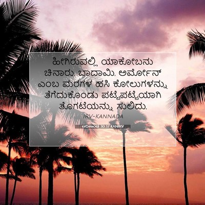 Picture 07 - ಆದಿಕಾಂಡ 30:37 KANIRV - ಹೀಗಿರುವಲ್ಲಿ - Bible Verse Picture