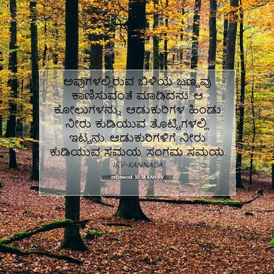 Picture 07 - ಆದಿಕಾಂಡ 30:38 KANIRV - ಅವುಗಳಲ್ಲಿರುವ - Bible Verse Picture