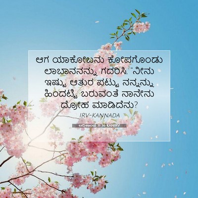 Picture 07 - ಆದಿಕಾಂಡ 31:36 KANIRV - ಆಗ ಯಾಕೋಬನು - Bible Verse Picture