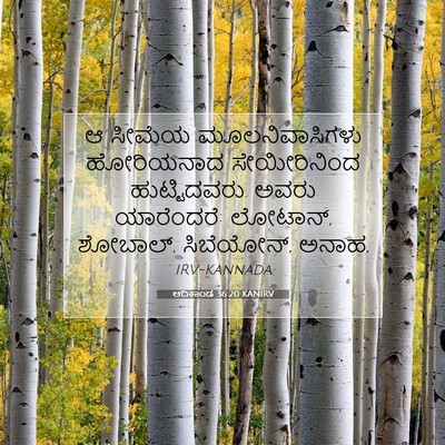Picture 07 - ಆದಿಕಾಂಡ 36:20 KANIRV - ಆ ಸೀಮೆಯ - Bible Verse Picture