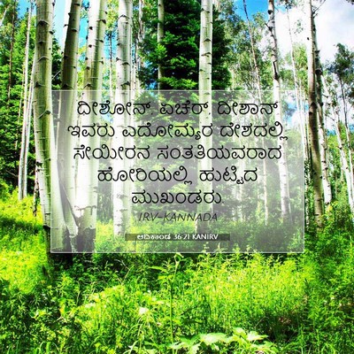 Picture 07 - ಆದಿಕಾಂಡ 36:21 KANIRV - ದೀಶೋನ್, ಏಚೆರ್, - Bible Verse Picture