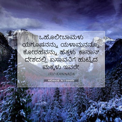 Picture 07 - ಆದಿಕಾಂಡ 36:5 KANIRV - ಒಹೊಲೀಬಾಮಳು - Bible Verse Picture
