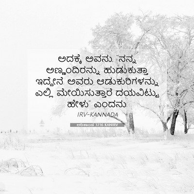 Picture 07 - ಆದಿಕಾಂಡ 37:16 KANIRV - ಅದಕ್ಕೆ ಅವನು, “ನನ್ನ - Bible Verse Picture
