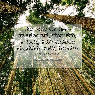 Picture 07 - ಆದಿಕಾಂಡ 38:19 KANIRV - ತರುವಾಯ ಆಕೆ ತಾನು - Bible Verse Picture