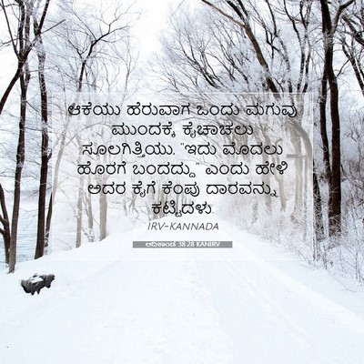 Picture 07 - ಆದಿಕಾಂಡ 38:28 KANIRV - ಆಕೆಯು ಹೆರುವಾಗ - Bible Verse Picture