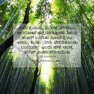 Picture 07 - ಆದಿಕಾಂಡ 38:29 KANIRV - ಅದು ಕೈಯನ್ನು - Bible Verse Picture