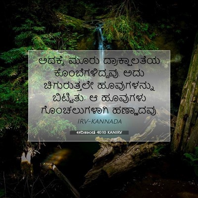 Picture 07 - ಆದಿಕಾಂಡ 40:10 KANIRV - ಅದಕ್ಕೆ ಮೂರು - Bible Verse Picture