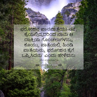 Picture 07 - ಆದಿಕಾಂಡ 40:11 KANIRV - ಫರೋಹನ ಪಾನಪಾತ್ರೆಯು - Bible Verse Picture