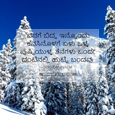 Picture 07 - ಆದಿಕಾಂಡ 41:22 KANIRV - “ನನಗೆ ಬಿದ್ದ - Bible Verse Picture