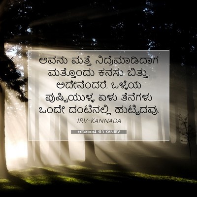 Picture 07 - ಆದಿಕಾಂಡ 41:5 KANIRV - ಅವನು ಮತ್ತೆ - Bible Verse Picture
