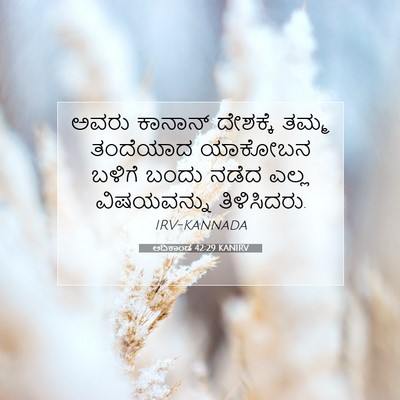 Picture 07 - ಆದಿಕಾಂಡ 42:29 KANIRV - ಅವರು ಕಾನಾನ್ - Bible Verse Picture