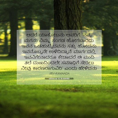 Picture 07 - ಆದಿಕಾಂಡ 42:38 KANIRV - ಆದರೆ ಯಾಕೋಬನು - Bible Verse Picture