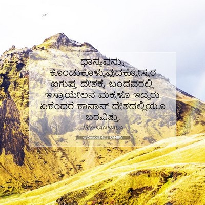 Picture 07 - ಆದಿಕಾಂಡ 42:5 KANIRV - ಧಾನ್ಯವನ್ನು - Bible Verse Picture
