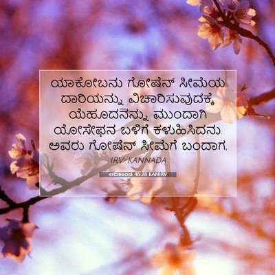 Picture 07 - ಆದಿಕಾಂಡ 46:28 KANIRV - ಯಾಕೋಬನು ಗೋಷೆನ್ - Bible Verse Picture