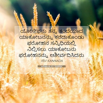 Picture 07 - ಆದಿಕಾಂಡ 47:7 KANIRV - ಯೋಸೇಫನು ತನ್ನ - Bible Verse Picture