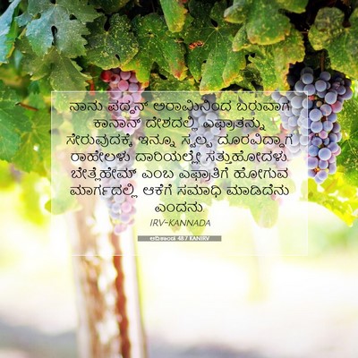 Picture 07 - ಆದಿಕಾಂಡ 48:7 KANIRV - ನಾನು ಪದ್ದನ್ - Bible Verse Picture