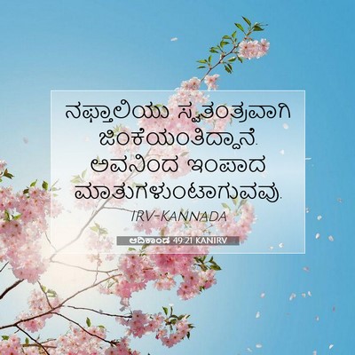 Picture 07 - ಆದಿಕಾಂಡ 49:21 KANIRV - ನಫ್ತಾಲಿಯು - Bible Verse Picture