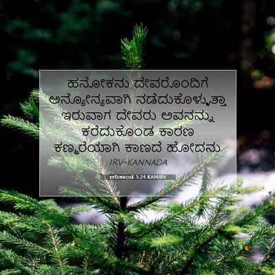 Picture 07 - ಆದಿಕಾಂಡ 5:24 KANIRV - ಹನೋಕನು ದೇವರೊಂದಿಗೆ - Bible Verse Picture