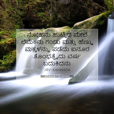 Picture 07 - ಆದಿಕಾಂಡ 5:30 KANIRV - ನೋಹನು ಹುಟ್ಟಿದ - Bible Verse Picture