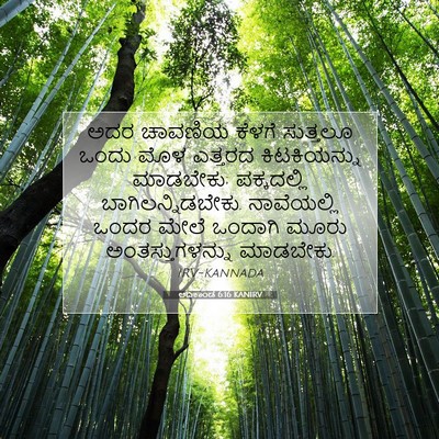 Picture 07 - ಆದಿಕಾಂಡ 6:16 KANIRV - ಅದರ ಚಾವಣಿಯ ಕೆಳಗೆ - Bible Verse Picture