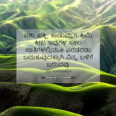 Picture 07 - ಆದಿಕಾಂಡ 6:20 KANIRV - ಪಶು, ಪಕ್ಷಿ, - Bible Verse Picture
