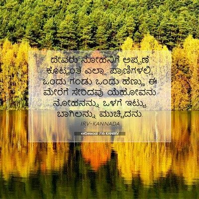 Picture 07 - ಆದಿಕಾಂಡ 7:16 KANIRV - ದೇವರು ನೋಹನಿಗೆ - Bible Verse Picture