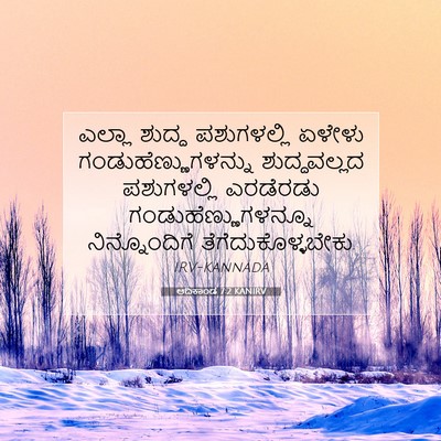 Picture 07 - ಆದಿಕಾಂಡ 7:2 KANIRV - ಎಲ್ಲಾ ಶುದ್ಧ - Bible Verse Picture