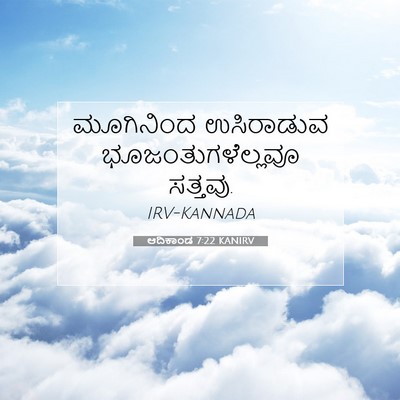 Picture 07 - ಆದಿಕಾಂಡ 7:22 KANIRV - ಮೂಗಿನಿಂದ ಉಸಿರಾಡುವ - Bible Verse Picture