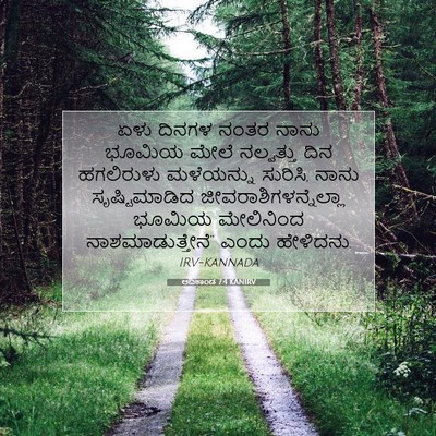 Picture 07 - ಆದಿಕಾಂಡ 7:4 KANIRV - ಏಳು ದಿನಗಳ ನಂತರ - Bible Verse Picture
