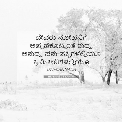 Picture 07 - ಆದಿಕಾಂಡ 7:8 KANIRV - ದೇವರು ನೋಹನಿಗೆ - Bible Verse Picture