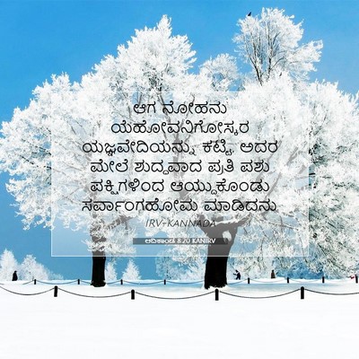 Picture 07 - ಆದಿಕಾಂಡ 8:20 KANIRV - ಆಗ ನೋಹನು - Bible Verse Picture