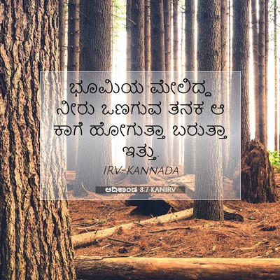 Picture 07 - ಆದಿಕಾಂಡ 8:7 KANIRV - ಭೂಮಿಯ ಮೇಲಿದ್ದ - Bible Verse Picture