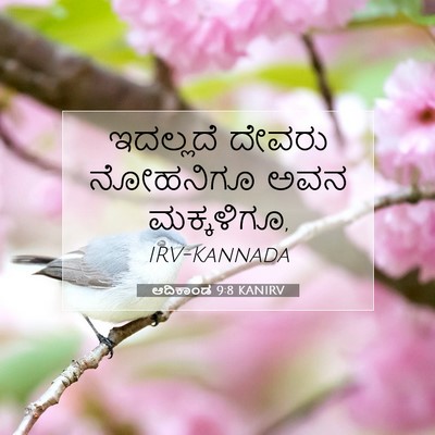 Picture 07 - ಆದಿಕಾಂಡ 9:8 KANIRV - ಇದಲ್ಲದೆ ದೇವರು - Bible Verse Picture