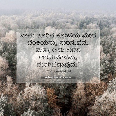 Picture 07 - ಆಮೋಸನು 1:10 KANIRV - ನಾನು ತೂರಿನ ಕೋಟೆಯ - Bible Verse Picture